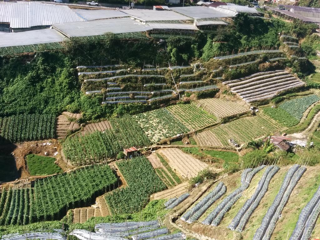 Mary Apt @ Equatorial Hill Resort Cameron Highlands Exterior photo